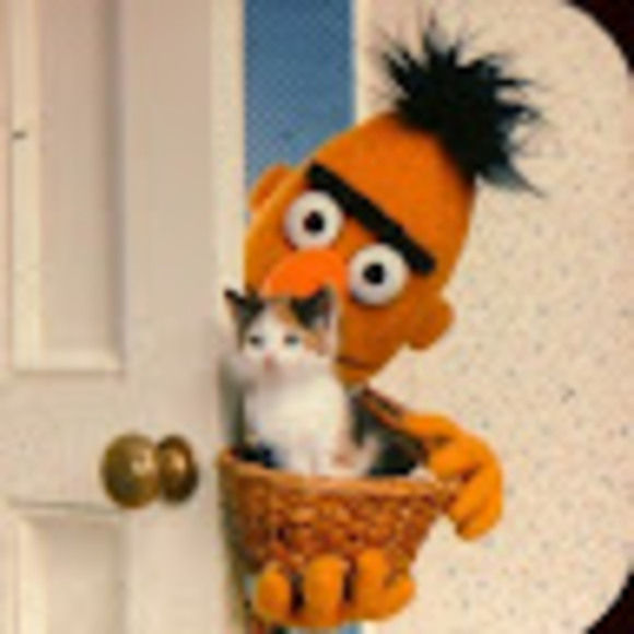 Meet your Posher, Lauren - Picture 1 of 1